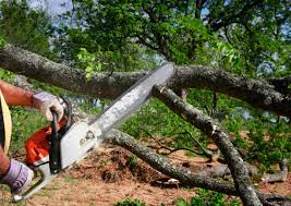 Best Soil Testing and Treatment  in Prairie Creek, AR